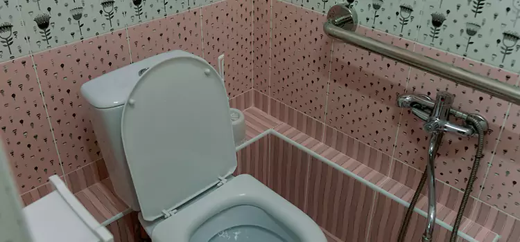 Meeting Diverse Needs With Accessible Restroom Solutions in Villa Park, IL